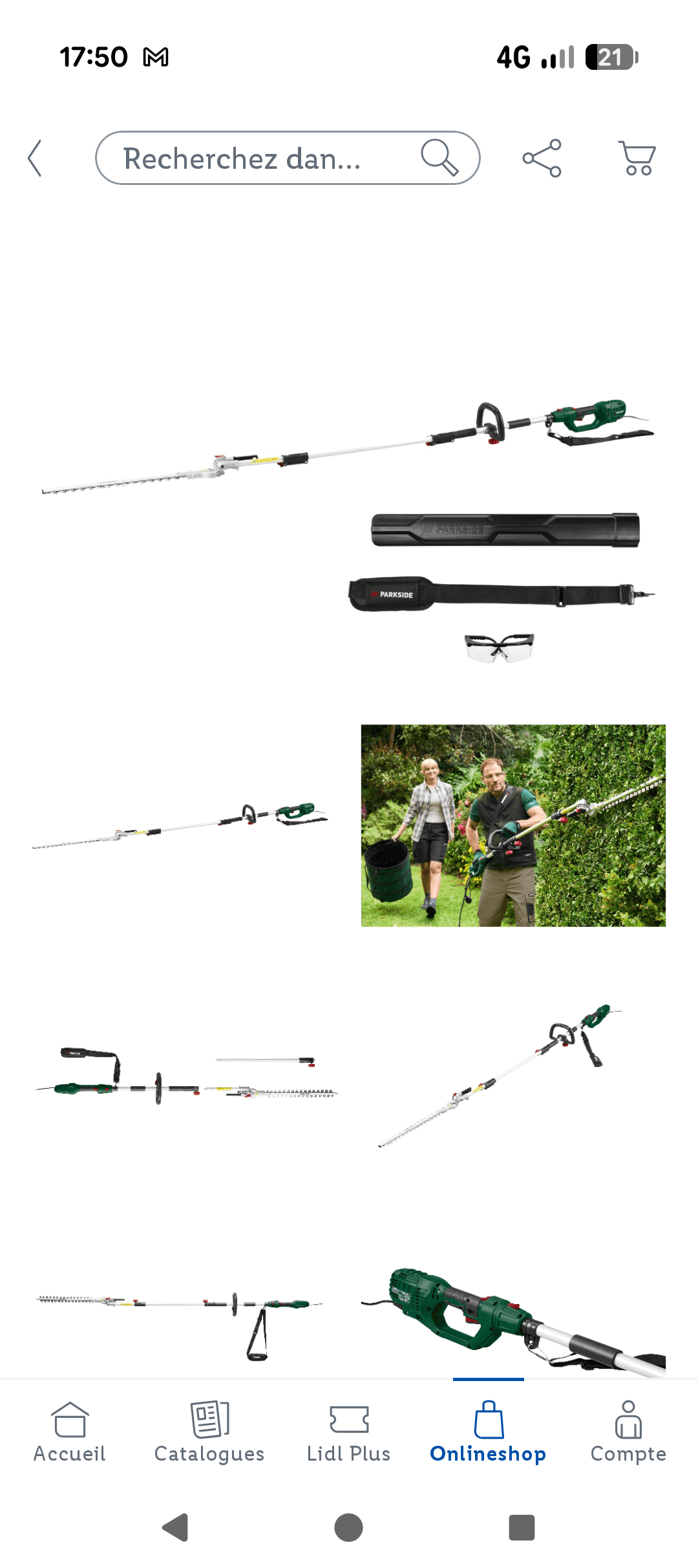 Taille haie télescopique