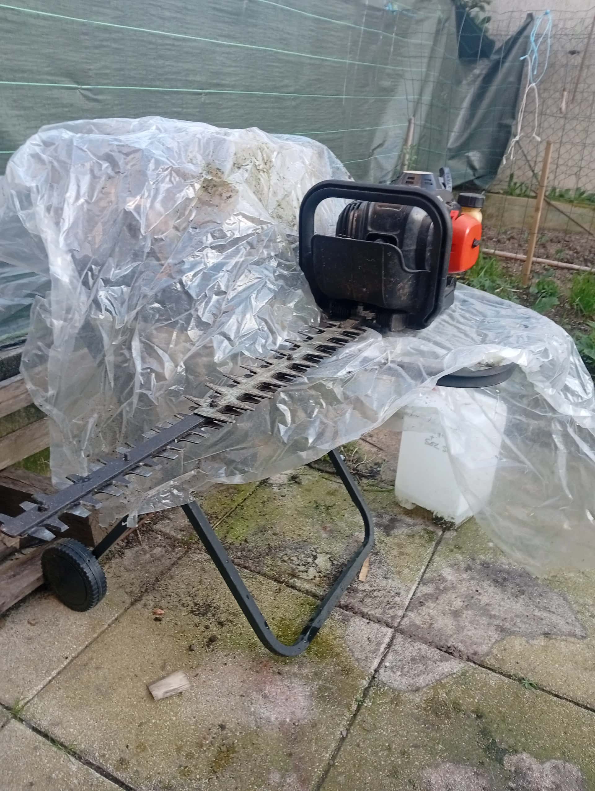 LOCATION Taille Haie