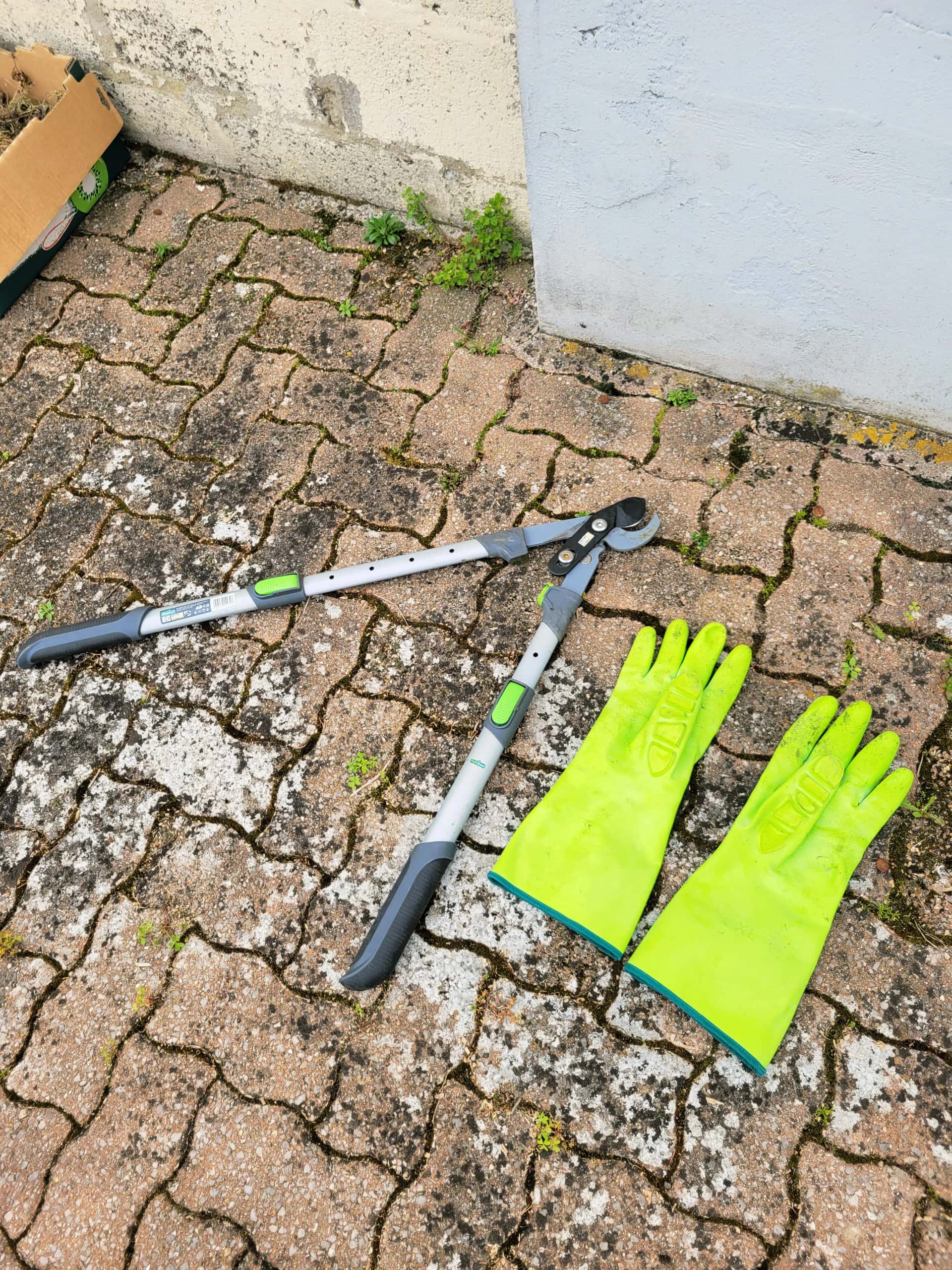 Coupe branches manuel et gants anti épines