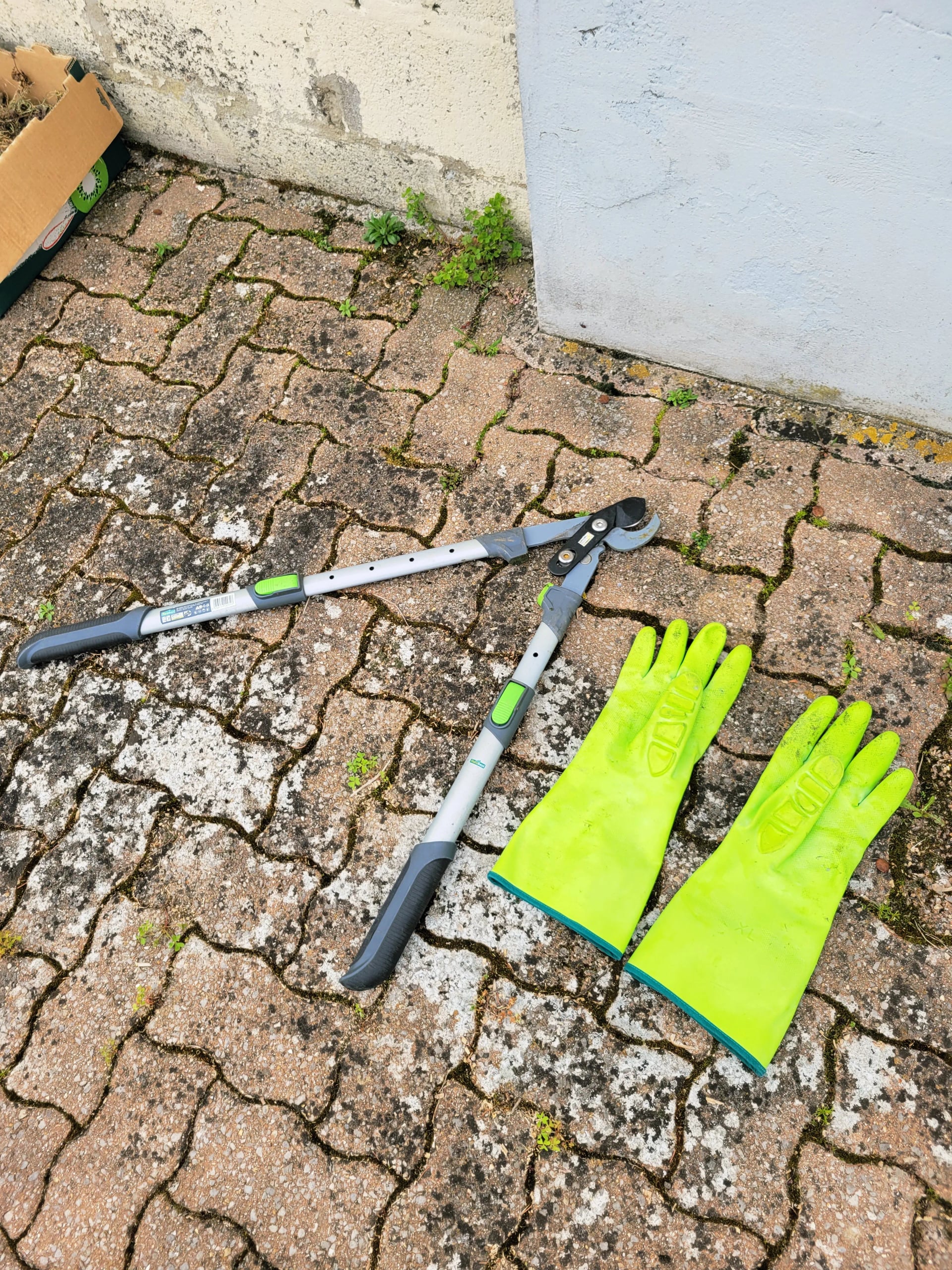 Coupe branches manuel et gants anti épines