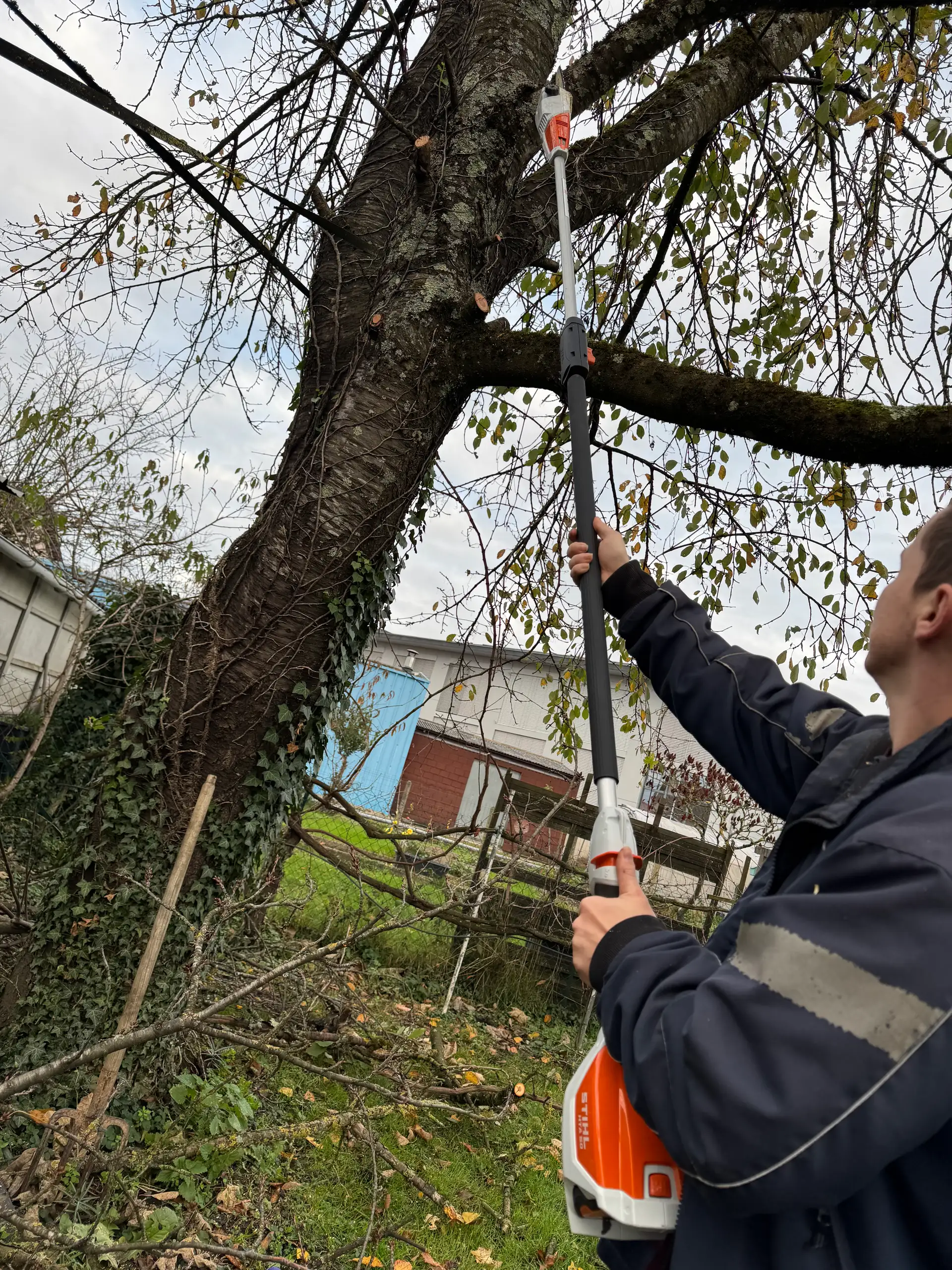 Coupe branche perche - élagueuse